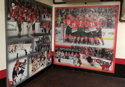 Wall Mural; Monticello Moose Hockey