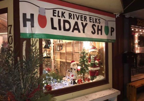 Elk River DECA Pop Up Shop; Salon On Main