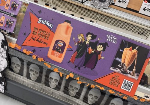 16 and 24pt paper display products